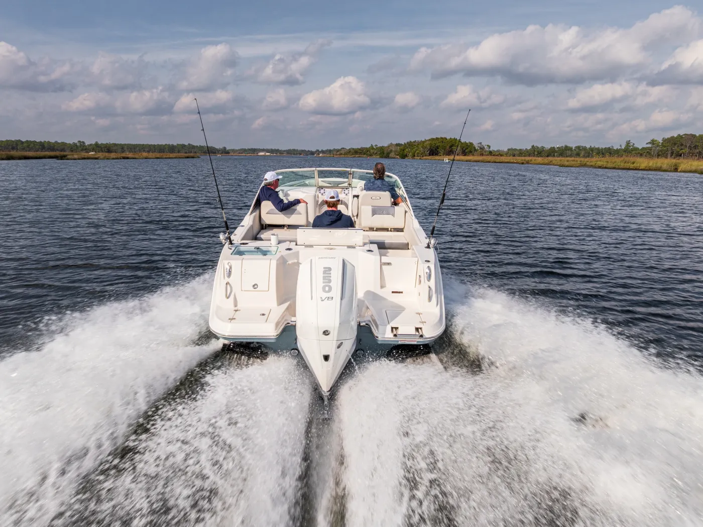 Sailfish 236DC — Sailfish manufacturer photo